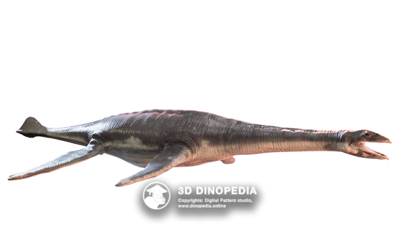 Cretaceous period Psittacosaurus 3D Dinopedia