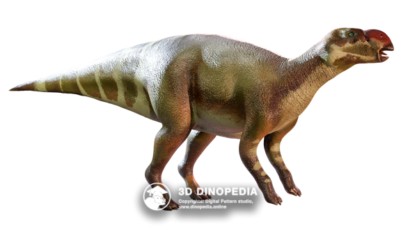 Муттабурразавр 3D Dinopedia