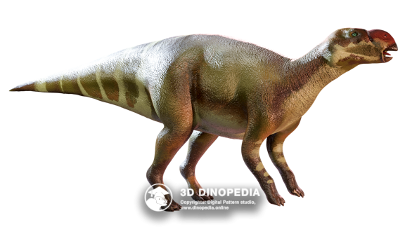 Меловой период Муттабурразавр | 3D Dinopedia