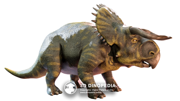 Cretaceous period Pachycephalosaurus 3D Dinopedia