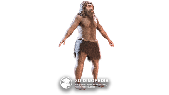 Quaternary period Neanderthal | 3D Dinopedia