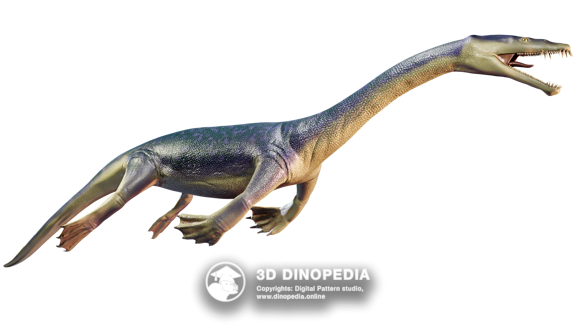 Permian period Diplocaulus 3D Dinopedia
