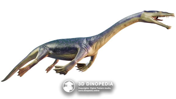 Triassic period Placerias 3D Dinopedia