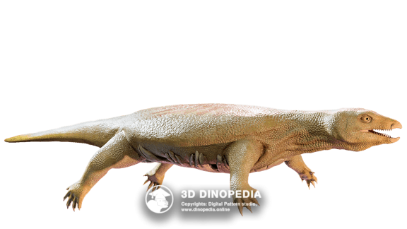 Triassic period Odontochelys semitestacea | 3D Dinopedia
