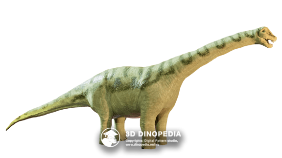 Опистоцеликаудия 3D Dinopedia