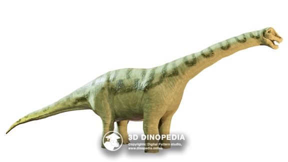 Cretaceous period Opisthocoelicaudia | 3D Dinopedia