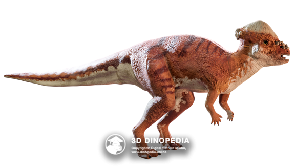 Cretaceous period Confuciusornis 3D Dinopedia