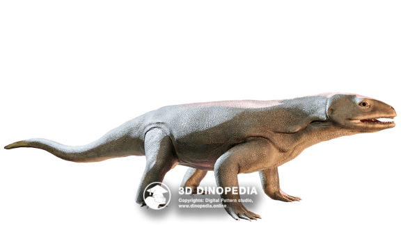 Triassic period Pappochelys | 3D Dinopedia