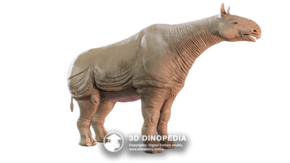 Cretaceous period Medusaceratops 3D Dinopedia