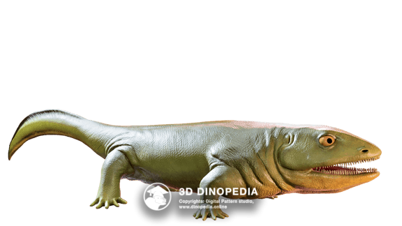 Юрский период Диморфодон 3D Dinopedia