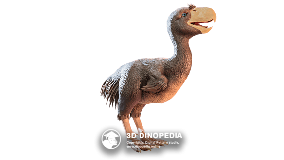 Neogene period Phorusrhacos 3D Dinopedia