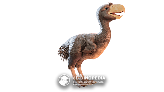 Неогеновый период Фороракос | 3D Dinopedia