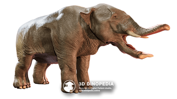 Platybelodon 3D Dinopedia