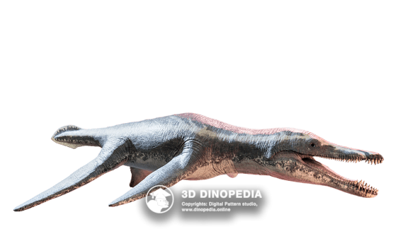 Jurassic period Pliosaurus | 3D Dinopedia