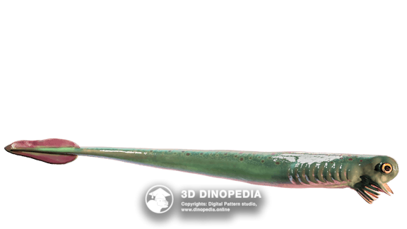 Triassic period Thrinaxodon 3D Dinopedia