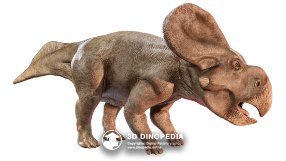 Cretaceous period Protoceratops | 3D Dinopedia
