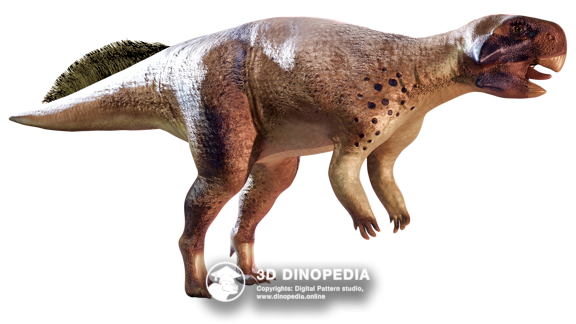 Cretaceous period Psittacosaurus | 3D Dinopedia