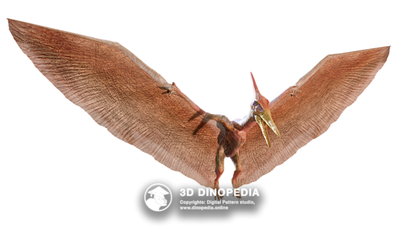 Jurassic period Dilophosaurus 3D Dinopedia