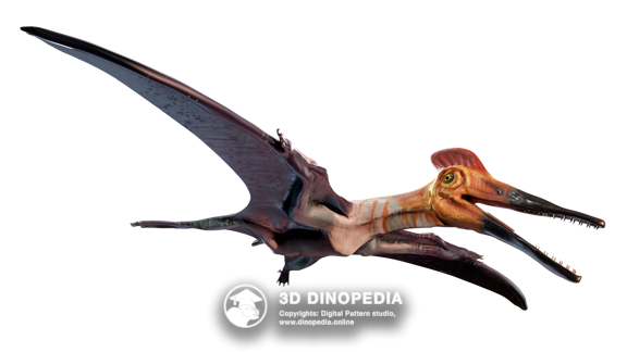 Pterodactylus 3D Dinopedia