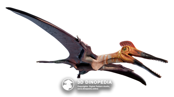 Cretaceous period Confuciusornis 3D Dinopedia