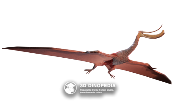 Pterodaustro 3D Dinopedia