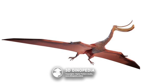 Paleogene period Paraceratherium 3D Dinopedia