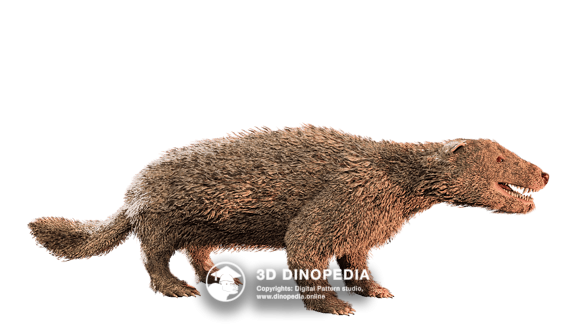 Cretaceous period Repenomamus | 3D Dinopedia