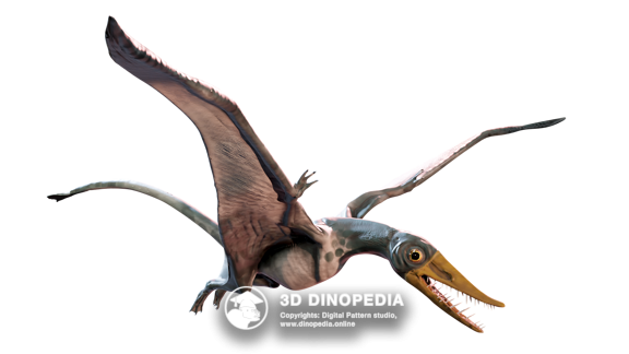 Jurassic period Rhamphorhynchus | 3D Dinopedia