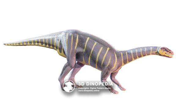 Triassic period Riojasaurus 3D Dinopedia