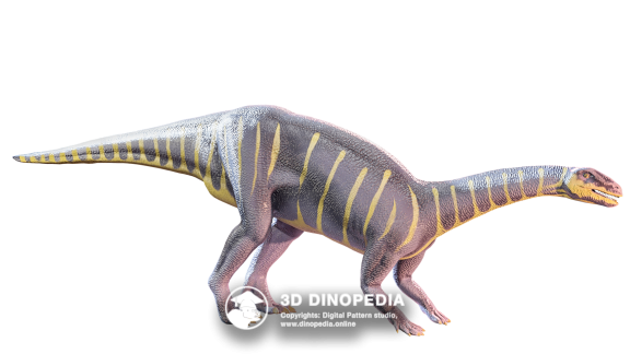 Триасовый период Риохазавр | 3D Dinopedia