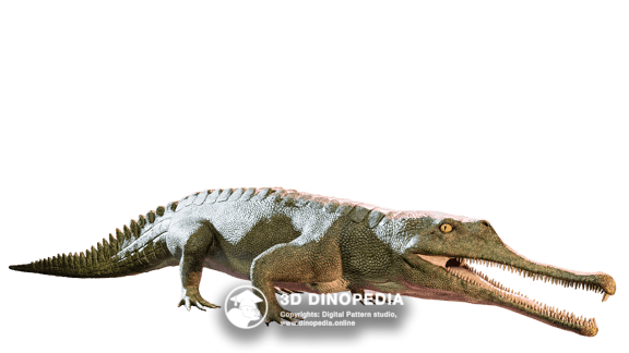 Triassic period Effigia 3D Dinopedia