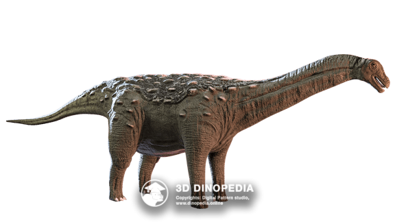 Cretaceous period Saltasaurus | 3D Dinopedia