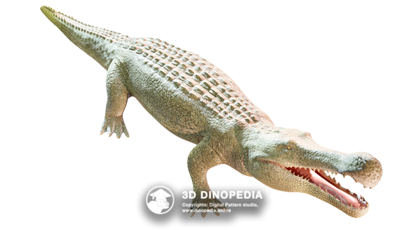 Cretaceous period Qianzhousaurus 3D Dinopedia