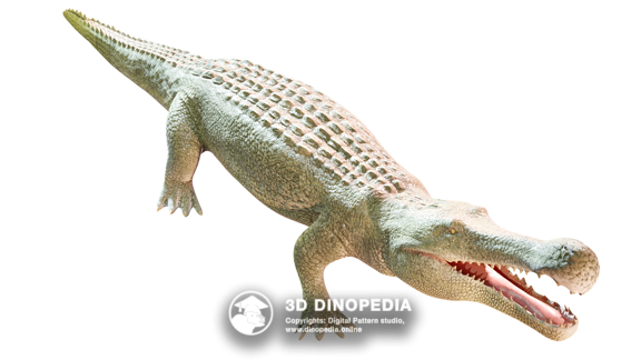 Cretaceous period Sarcosuchus | 3D Dinopedia