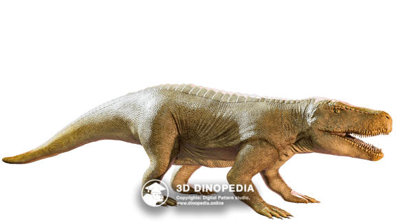Saurosuchus | Triassic period | 3D Dinopedia