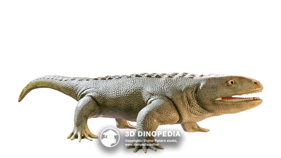 Permian period Seymouria 3D Dinopedia