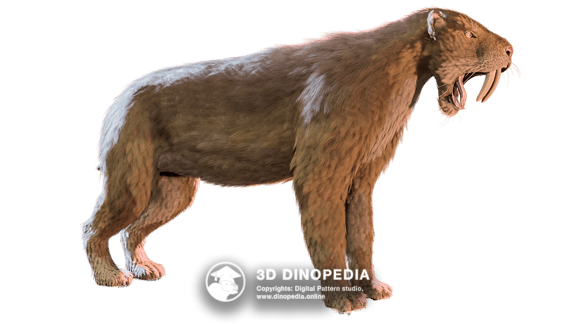 Quaternary period Smilodon | 3D Dinopedia