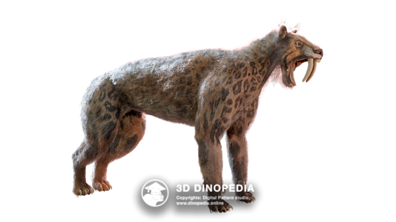 Смилодон 3D Dinopedia