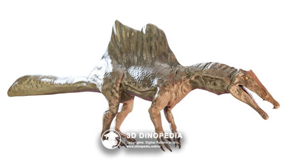 Cretaceous period Sauropelta 3D Dinopedia