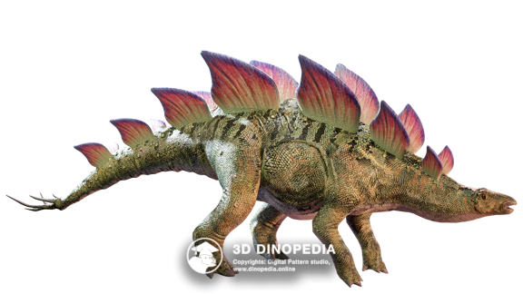 Stegosaurus 3D Dinopedia