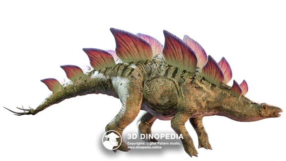 Jurassic period Stegosaurus | 3D Dinopedia