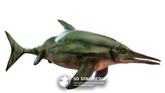 Stenopterygius 3D Dinopedia