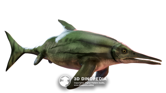 Юрский период Стеноптеригиус | 3D Dinopedia