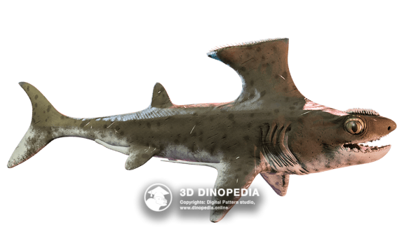 Carboniferous period Stethacanthus | 3D Dinopedia