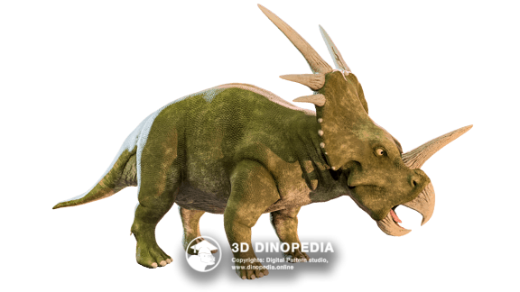 Styracosaurus 3D Dinopedia