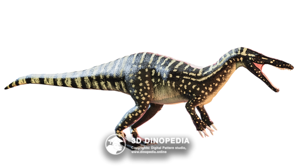 Cretaceous period Suchomimus | 3D Dinopedia