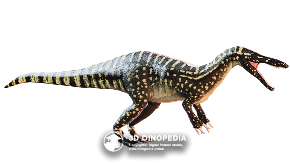 Cretaceous period Saltasaurus 3D Dinopedia