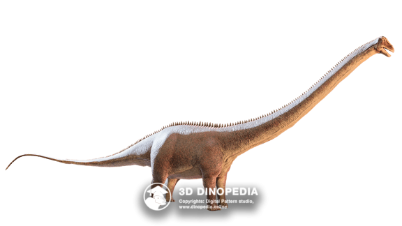 Jurassic period Supersaurus | 3D Dinopedia