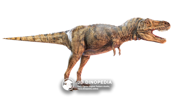 Cretaceous period Triceratops 3D Dinopedia