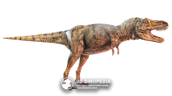 Triassic period Henodus 3D Dinopedia